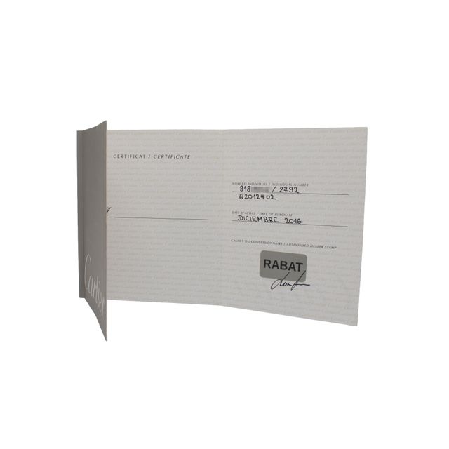 Cartier Santos 100 W20124U2 Image 3